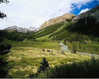 《血源卡丁车》改名《梦魇卡丁车》合法化 5月免费登陆PC